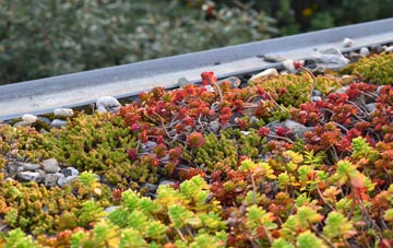 the cost of Grebby green roof installation