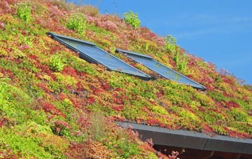Grebby living roof systems