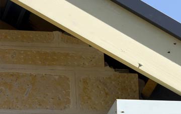 soffit repair Grebby